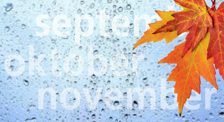 Optimale bescherming in het natte jaargetijde op de bouwplaats