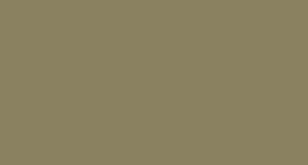 Migutrans-FSX-kleurstaal_C32_Licht-brons_hexa-89815f